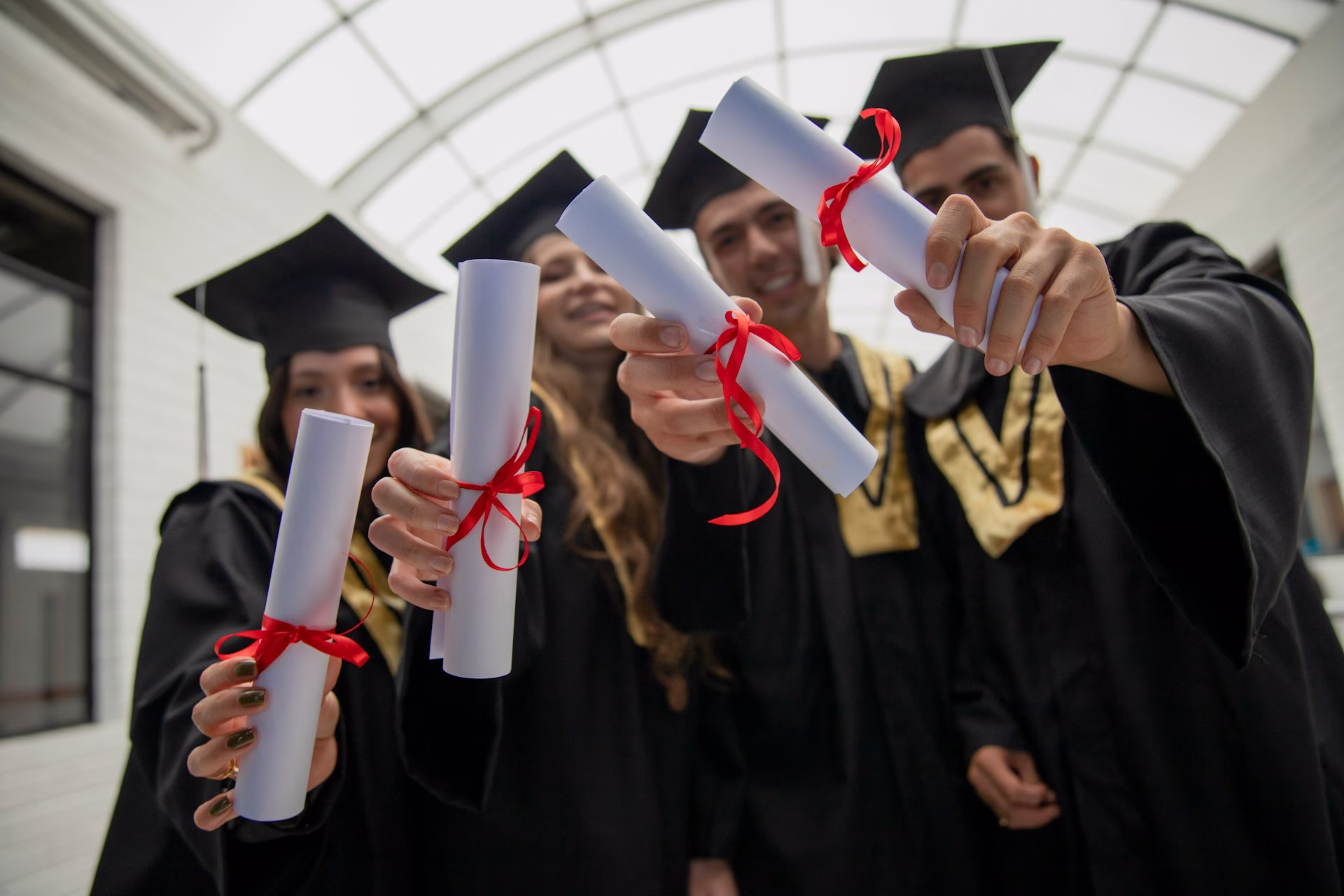 Scholarship Options image