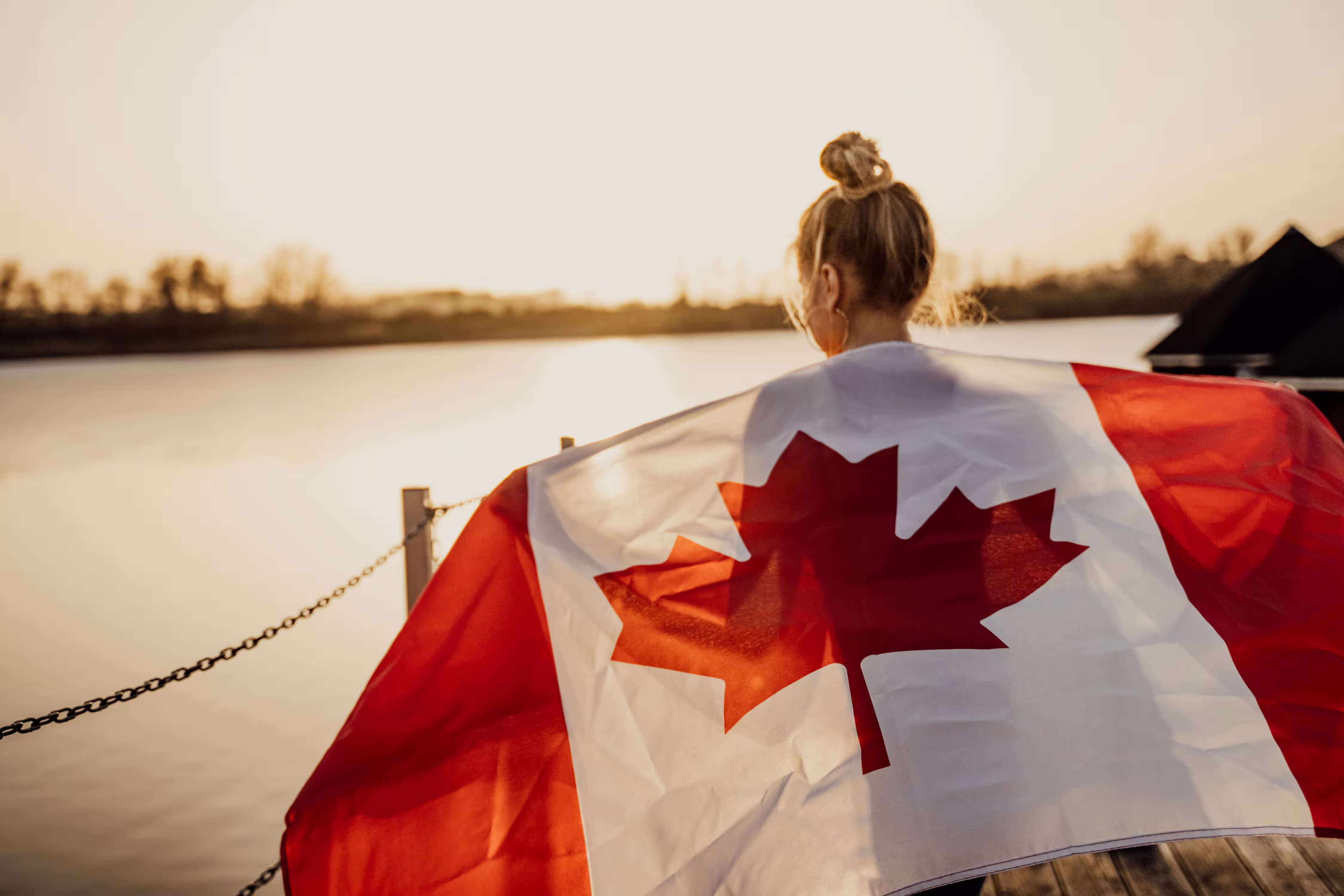 Permanent Residency and Settlement Details image
