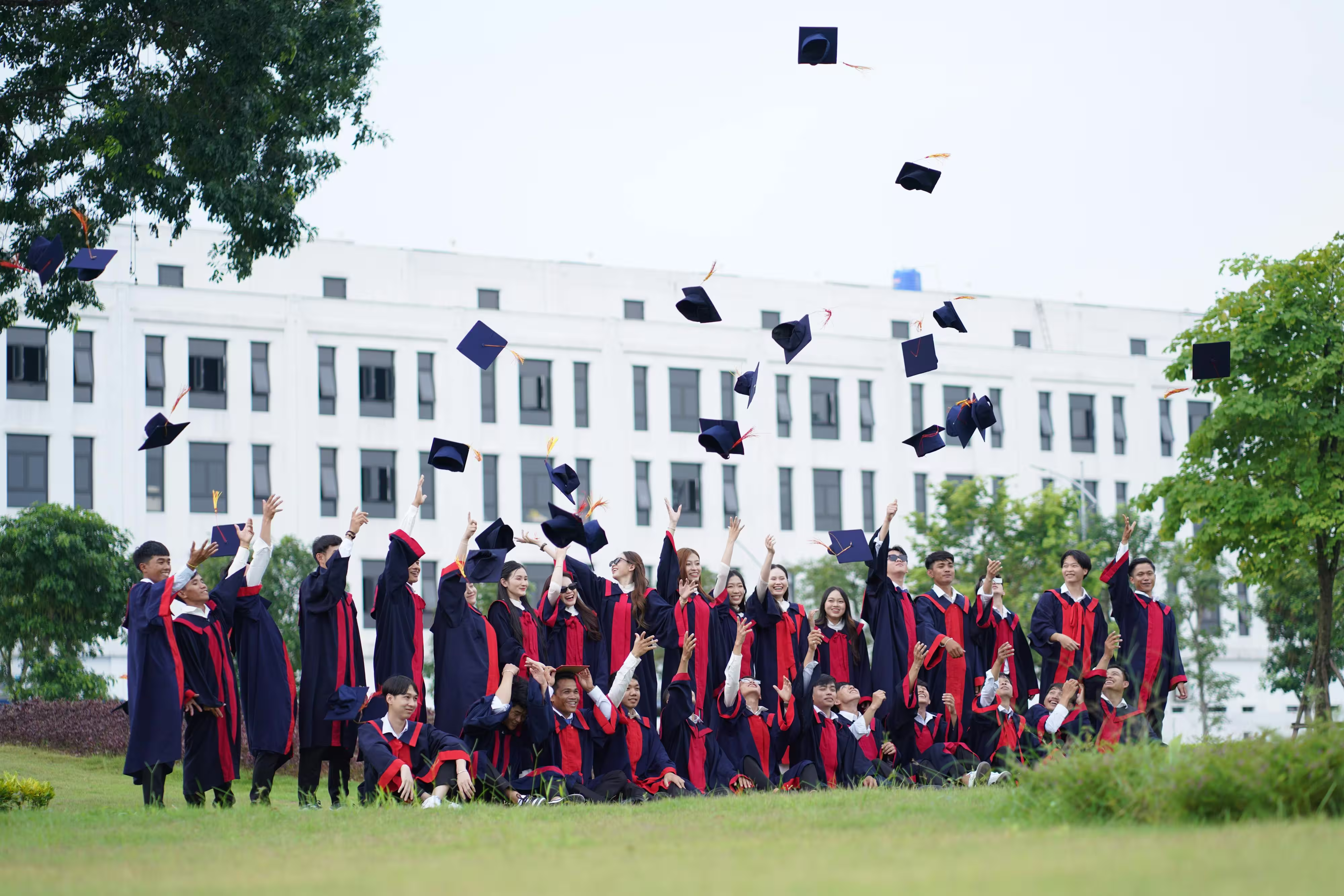 Scholarship Options image