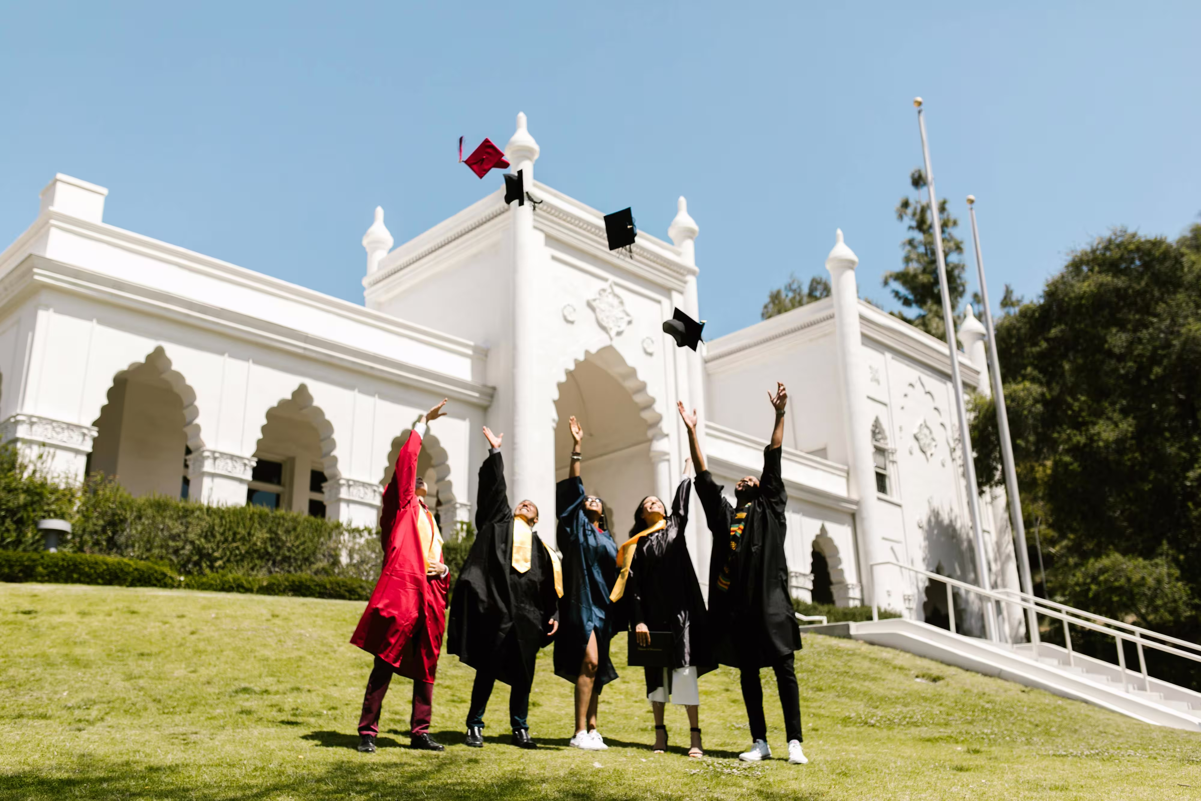 Scholarship Options image