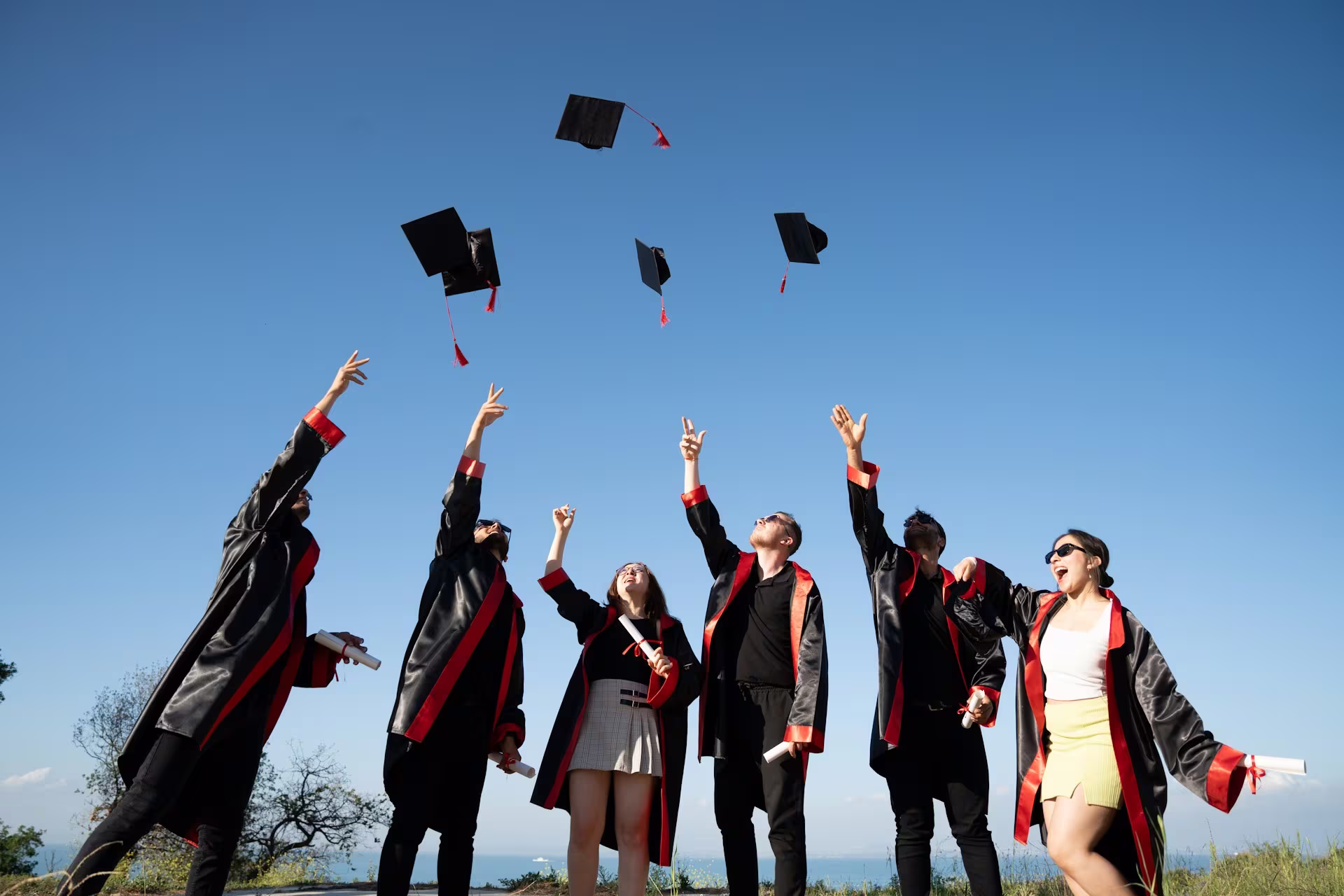 Scholarship Options image