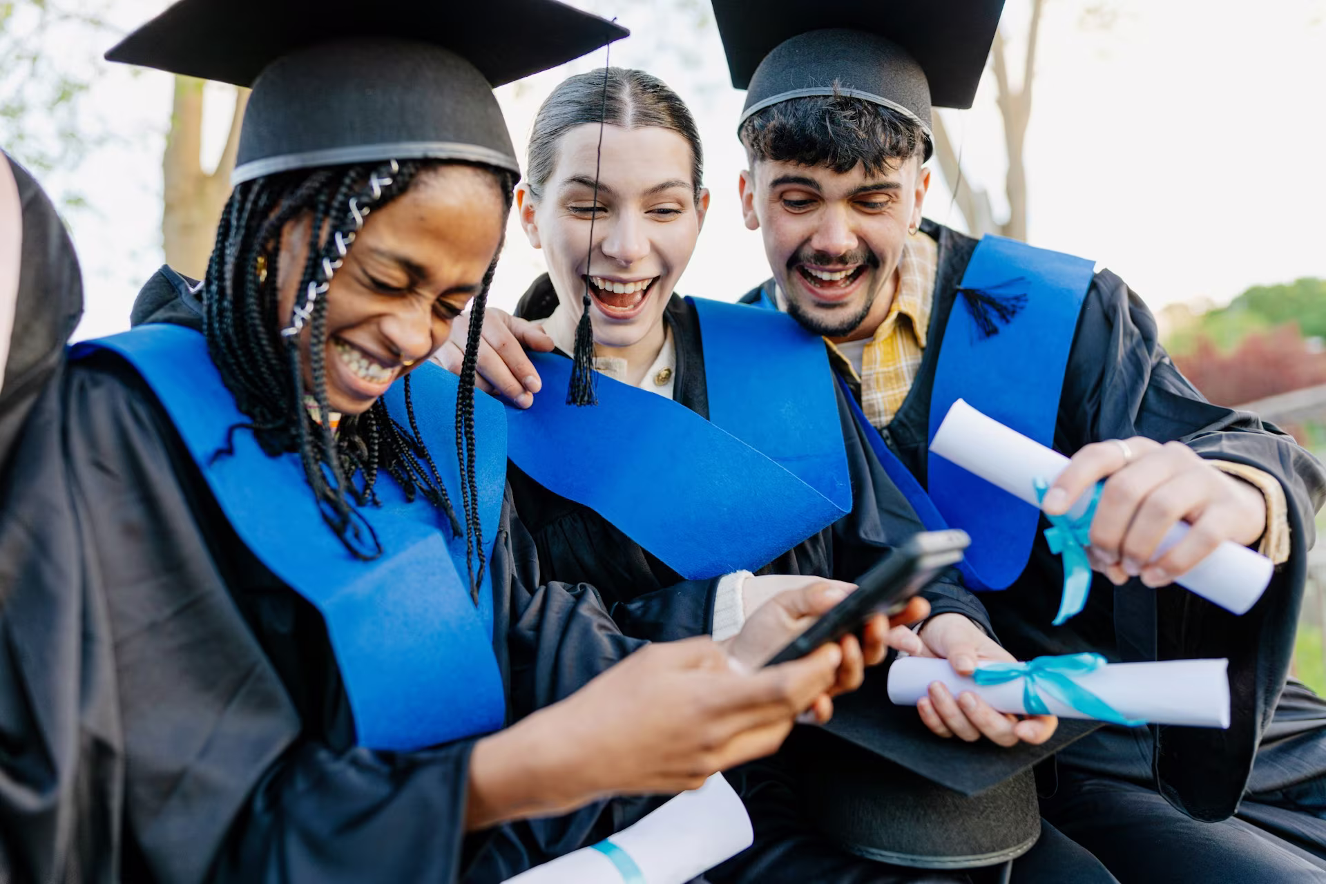Scholarship Options image